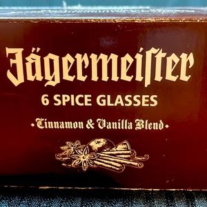 Set of 4 Jagermeister Spice shot glasses